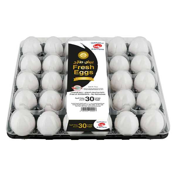 طبق بيض كبير x30